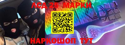 спиды Гай