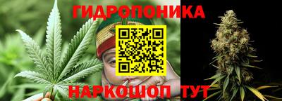 спиды Гай