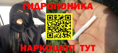 спиды Гай
