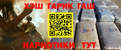спиды Гай