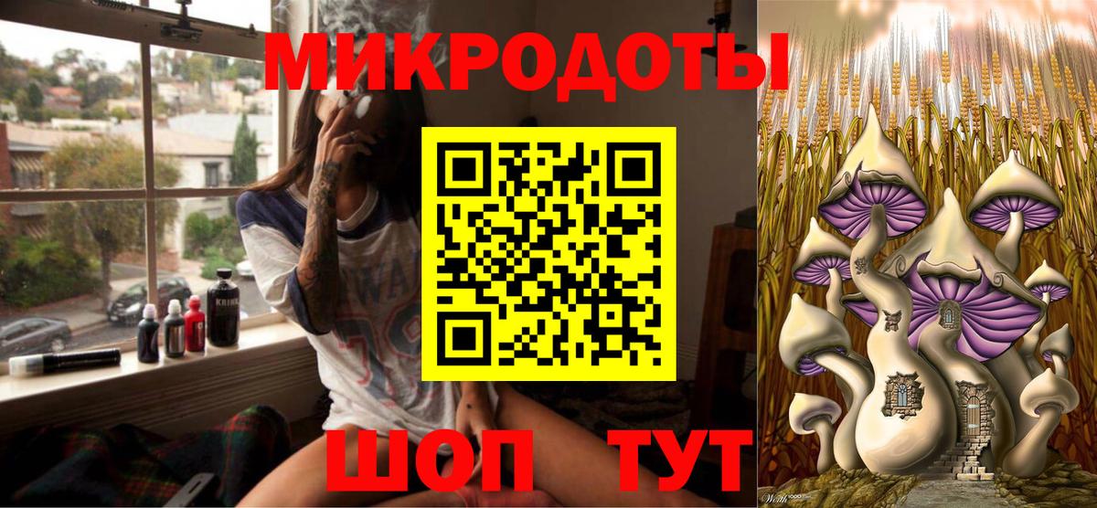 Псилоцибиновые грибы Cubensis Москва