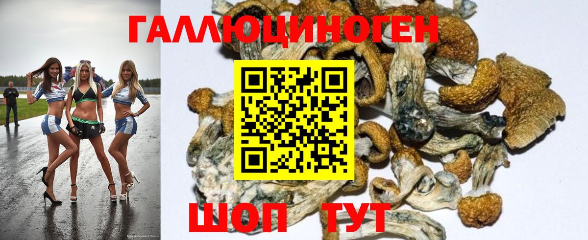 Псилоцибиновые грибы Psilocybe  Вход с VPN  Москва 